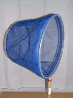 画像1: 手持ち玉網　（30cm）　青　丸型