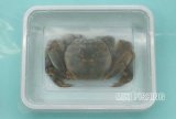 画像: 冷凍たこガニ　【船釣・投釣でのタコ狙い】　タコの大好物のカニ餌